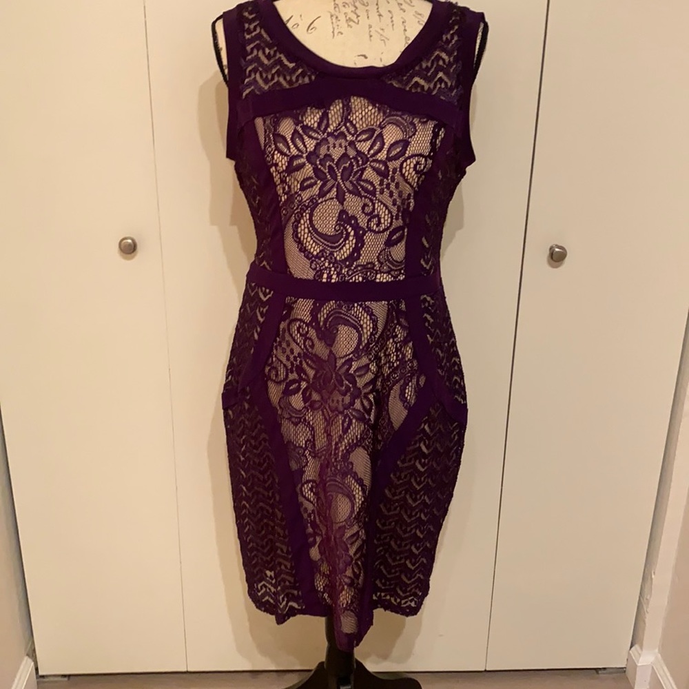 Purple nude panel form fitting dress